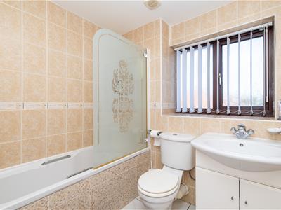 Picture 20